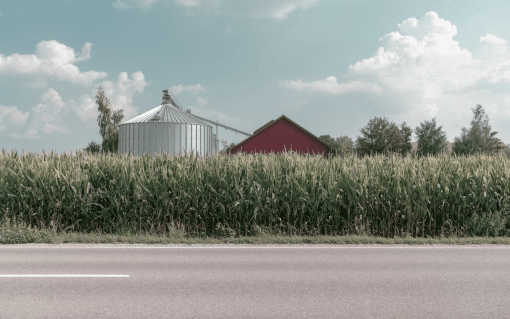corn farming business plan