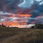 the sun is setting over a field with a windmill in the distance