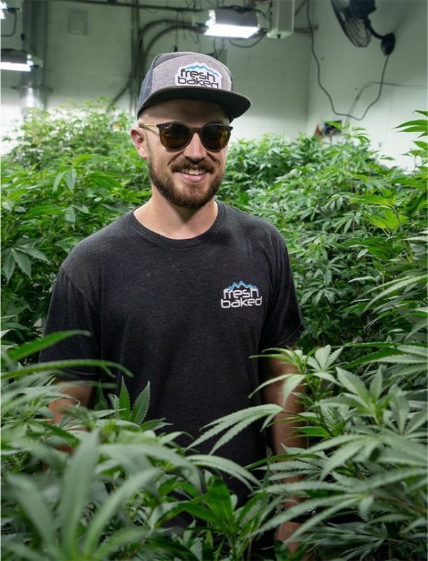 Exploring-the-Cannabis-Culture-of-Boulder.jpeg
