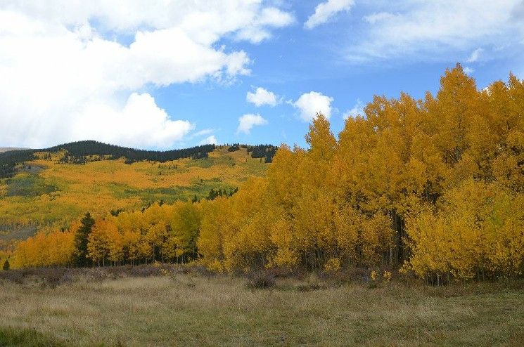 The-Best-Spots-for-Leaf-Peeping-in-Colorado.jpeg