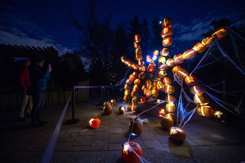 Uncovering the Spooky History of Halloween Celebrations in Boulder, Colorado