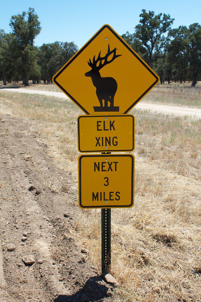 Elk Xing