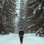 person in black jacket walking on snow covered ground near trees during daytime