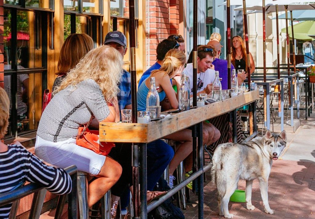 Boulder's Top Dogs: Uncovering the Canine Culture of Colorado's Best City