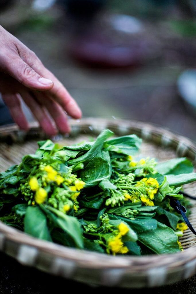 From above of anonymous person putting fresh green pak choy with small yellow flowers in wicker plate in garden on daytime