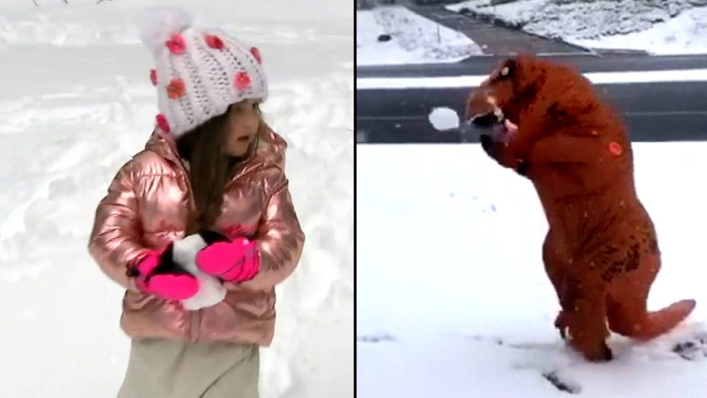 Frosty Frenzy: Snowball Battles Erupt in Boulder, Colorado