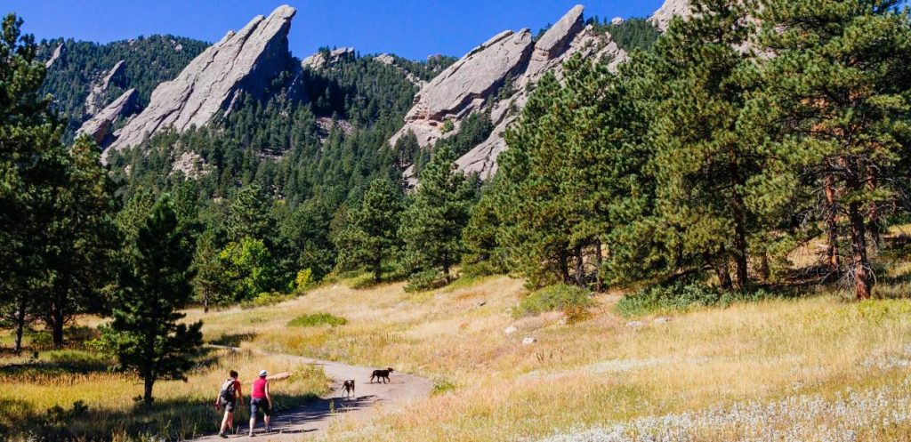 Top Seven Reasons Why Dogs Love Boulder, Colorado: A Canine's Paradise