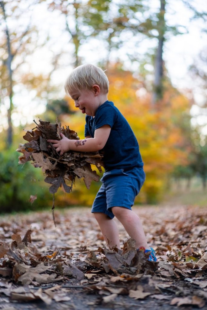 boy in blue t-shirt and blue shorts holding dried leaves