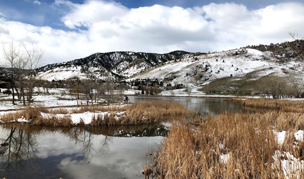 Uncovering the Hidden Gem: Hike of the Week at Wonderland Lake