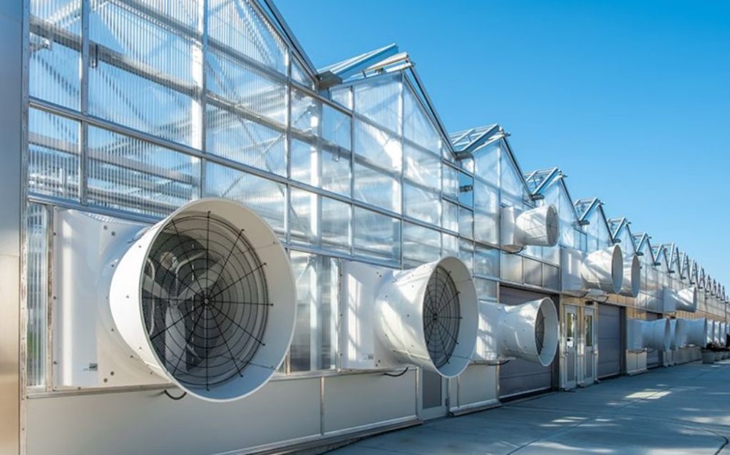 Understanding The Importance of Greenhouse Ventilation - AboutBoulder