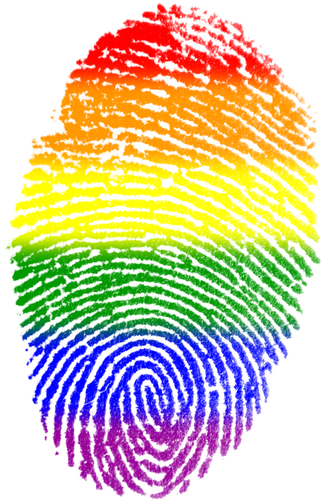 fingerprint, gay, flag