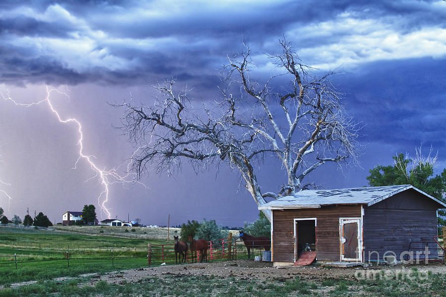 Electric Skies: Navigating Lightning Season at a Mile High in Boulder, Colorado